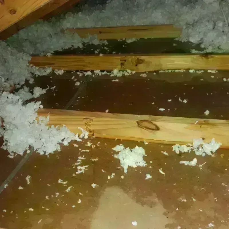 Attic Water Damage in Shawnee County, KS