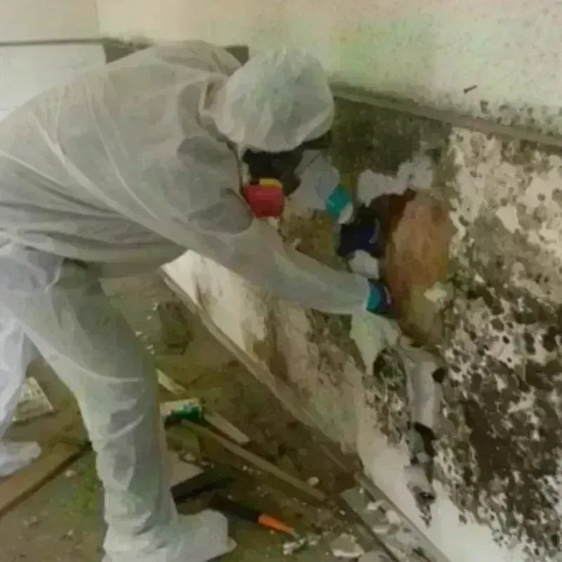 Mold Remediation and Removal in Shawnee County, KS