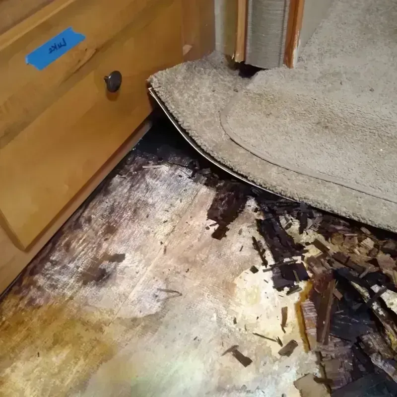 Wood Floor Water Damage in Shawnee County, KS